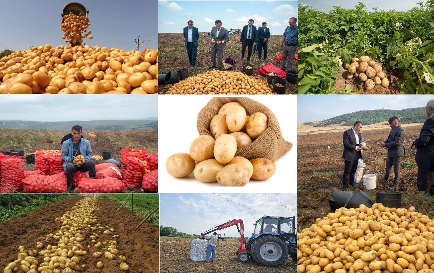 39ab87339bd4cdff990dd4c7814d5cbb